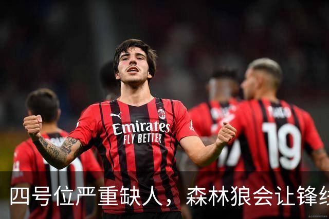 四号位严重缺人，森林狼会让锋线新援直接担任先发大前锋？