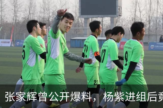 张家辉曾公开爆料，杨紫进组后竟多次跟他“放话”：“张大哥，你知道吗？我可是内地最红的一线女明星！