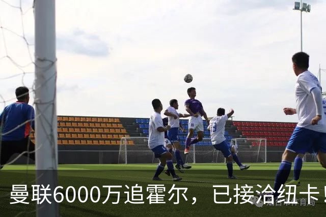 曼联6000万追霍尔，已接洽纽卡！还有仅1400万的替代候选