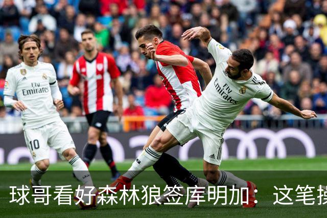 球哥看好森林狼签库明加：这笔操作能让三球打回控卫