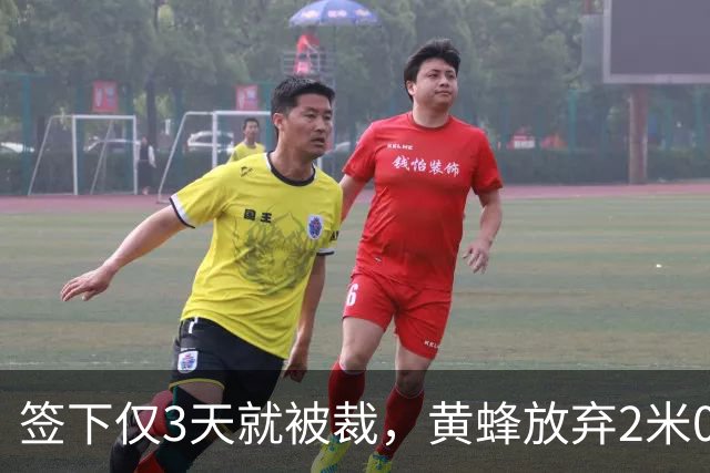 签下仅3天就被裁，黄蜂放弃2米01侧翼斯图尔特