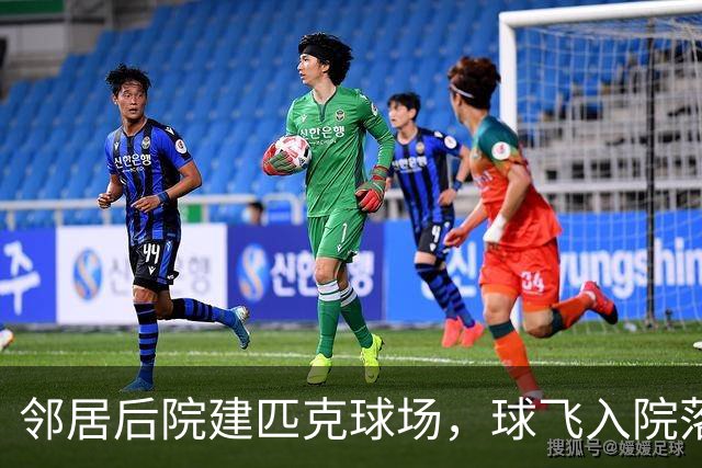 邻居后院建匹克球场，球飞入院落，房主扣球后收到184美元账单